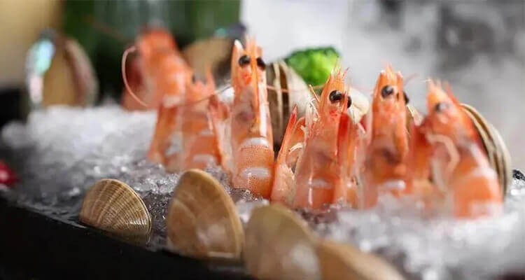 applicazione di ghiaccio in scaglie per prodotti acquatici