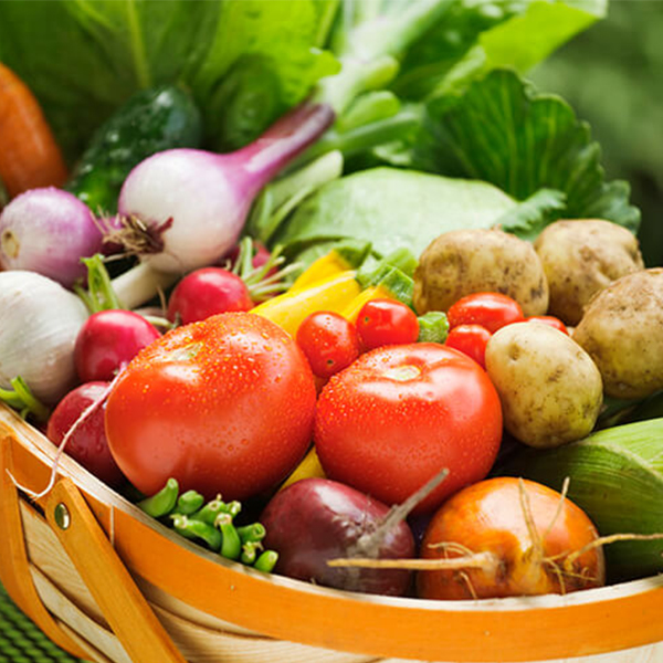 Stoccaggio e conservazione efficienti dei prodotti agricoli con le macchine industriali per la produzione del ghiaccio Icemedal