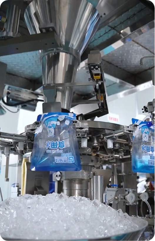 Bag Ice