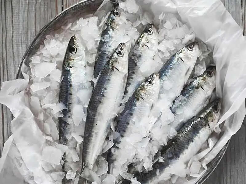 A cosa serve il ghiaccio in scaglie?