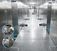 100 tonnellate della linea di produzione della coppa di ghiaccio in Cina