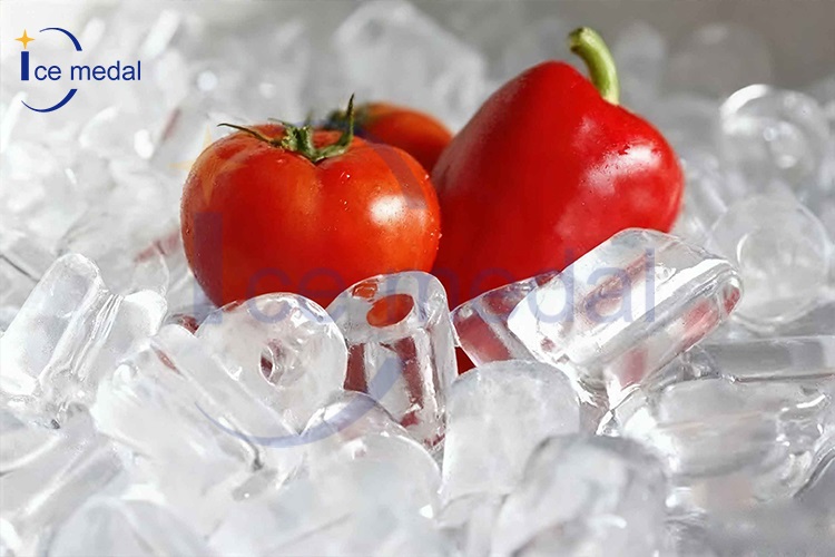 tubo di ghiaccio per la lavorazione degli alimenti 