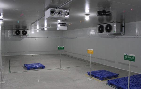 Come migliorare efficacemente la refrigerazione delle celle frigorifere?