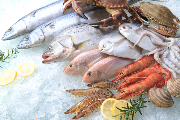 Flake Ice per prodotti acquatici