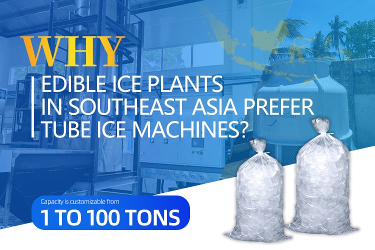 Perché le piante di ghiaccio commestibili nel sud -est asiatico preferiscono le macchine per il ghiaccio del tubo?