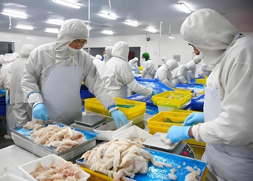 tubo di ghiaccio per impianti di trasformazione alimentare