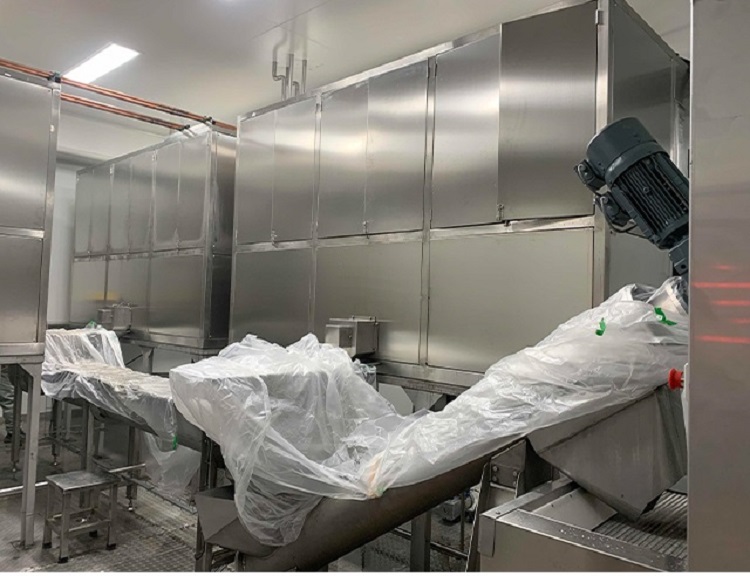 linea di produzione di ghiaccio commestibile