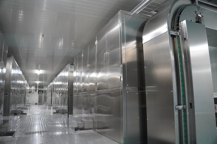 fabbrica di ghiaccio automatico