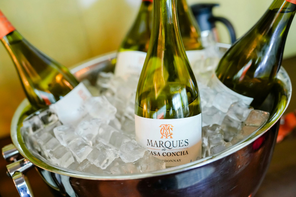 Cubo ghiaccio per drink