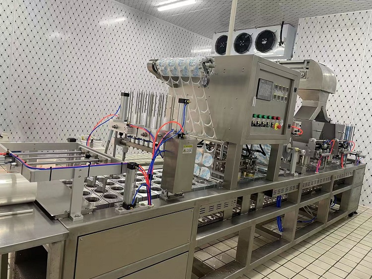Case di linea di produzione della coppa di ghiaccio