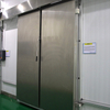 Porta di conservazione frigorifera di refrigerazione del magazzino di congelamento personalizzata Icemedal