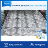 Linea di produzione di ghiaccio a cubetti completamente automatica con sistema di imballaggio per fabbrica di ghiaccio