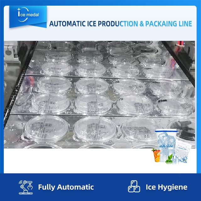 Linea di produzione di ghiaccio a cubetti completamente automatica con sistema di imballaggio per fabbrica di ghiaccio