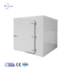 Icemedal Walk in Freezer 20ft Container Cella frigorifera Contenitore Chambre Froide in vendita