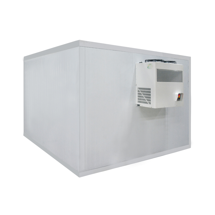 Icemedal Congelatori e celle frigorifere personalizzati a facile smontaggio Cella frigorifera Cella frigorifera Unità frigorifera