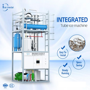 Macchina per la creazione di ghiaccio personalizzata di grande capacità di grande capacità 10-30 tonnellate Filippine per la fabbrica di ghiaccio