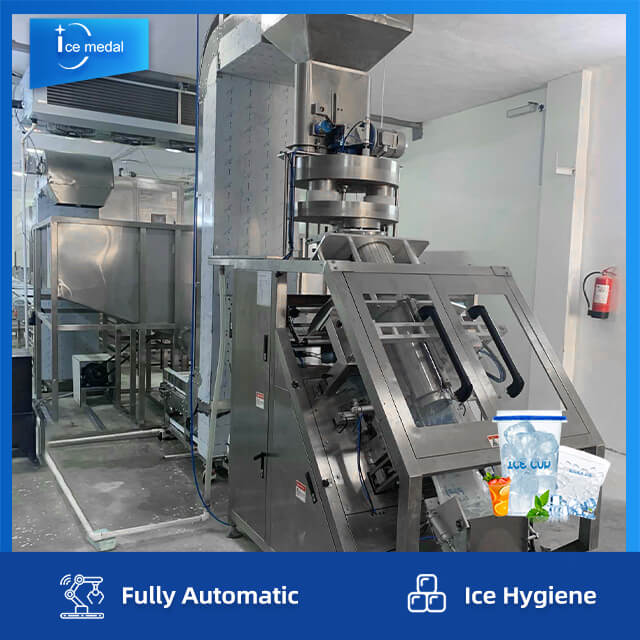 Linea di produzione di ghiaccio a cubetti completamente automatica con sistema di imballaggio per fabbrica di ghiaccio