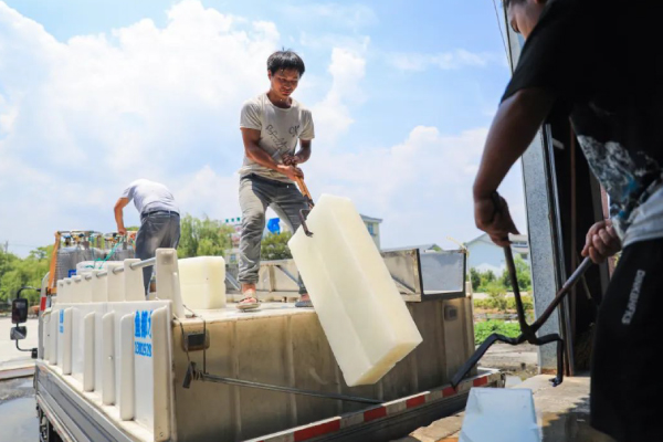  Blocca il ghiaccio per l'ingrosso 