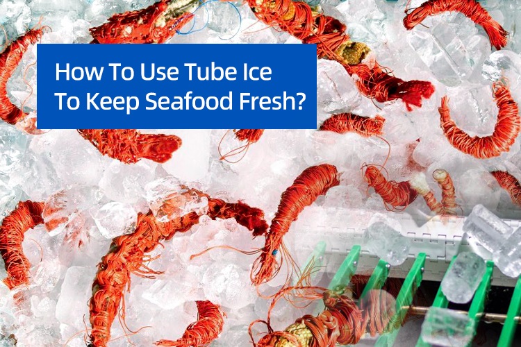 Come usare il ghiaccio del tubo per mantenere fresco i frutti di mare?