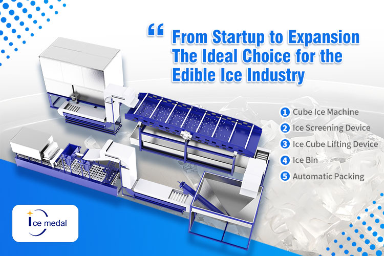 Dall'avvio all'espansione: la scelta ideale per l'industria del ghiaccio commestibile