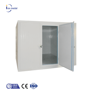 Icemedal Walk in Freezer 20ft Container Cella frigorifera Contenitore Chambre Froide in vendita