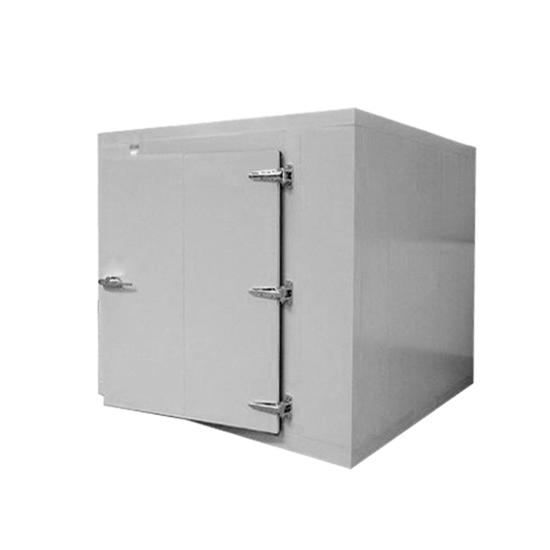 Icemedal Dimensioni personalizzate disponibili Cella frigorifera per contenitori con pannello cella frigorifera per carne e pesce Walk in Freezer