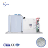 IMF20 20 tonnellate al giorno Flake Ice Machine per raffreddamento in cemento