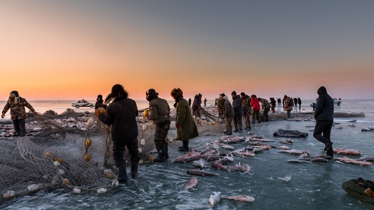 macchina per il ghiaccio in scaglie per la pesca