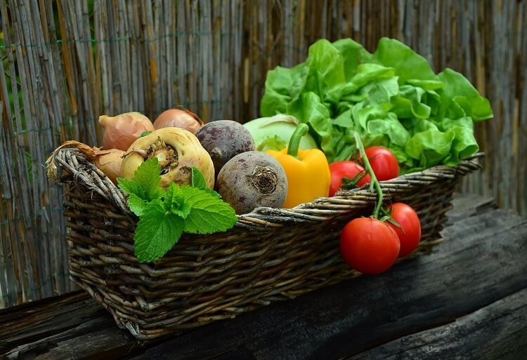 tubo di ghiaccio per la conservazione degli alimenti