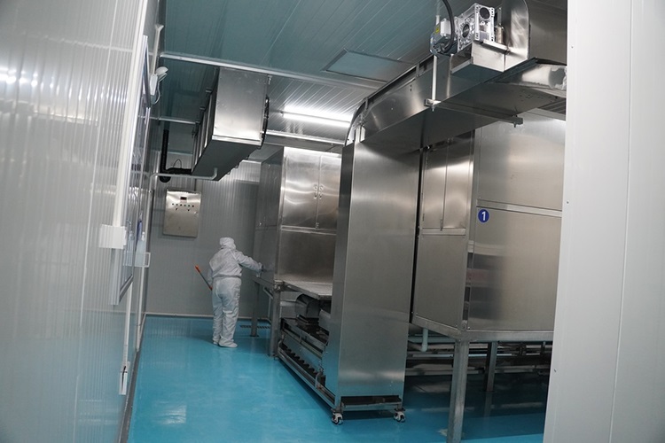 fabbrica automatica di ghiaccio alimentare