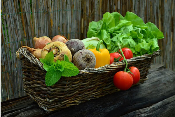 Cube Ice per la trasformazione degli alimenti