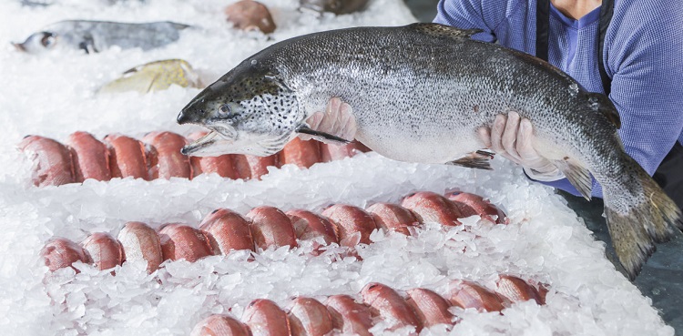 Flake Ice per la conservazione dei frutti di mare