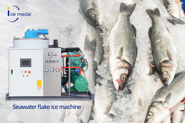 attrezzature per la produzione di ghiaccio ai frutti di mare.jpg