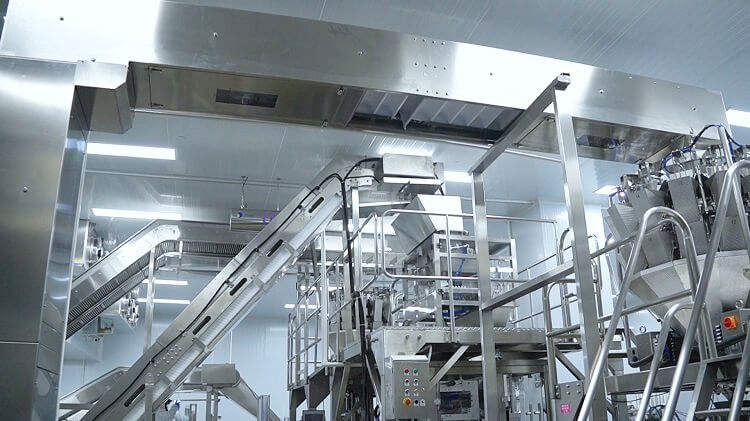 Sistema di trasporto e confezionamento del ghiaccio Icemedal nella fabbrica del ghiaccio