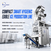 Linea di produzione di ghiaccio compattata con cubetti commestibili da 5 tonnellate/24 ore con imballaggio automatico 