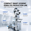Linea di produzione di ghiaccio compattata con cubetti commestibili da 5 tonnellate/24 ore con imballaggio automatico 